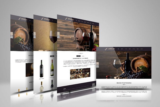 正規(guī)的網(wǎng)站開發(fā)哪里靠譜