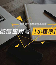 深圳網(wǎng)站配套小程序開發(fā)